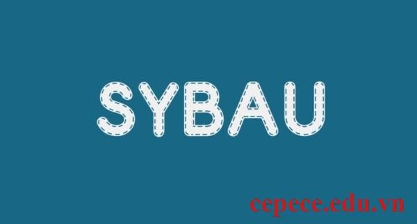 Meaning of SYBAU in Text and TikTok - Piqora.com